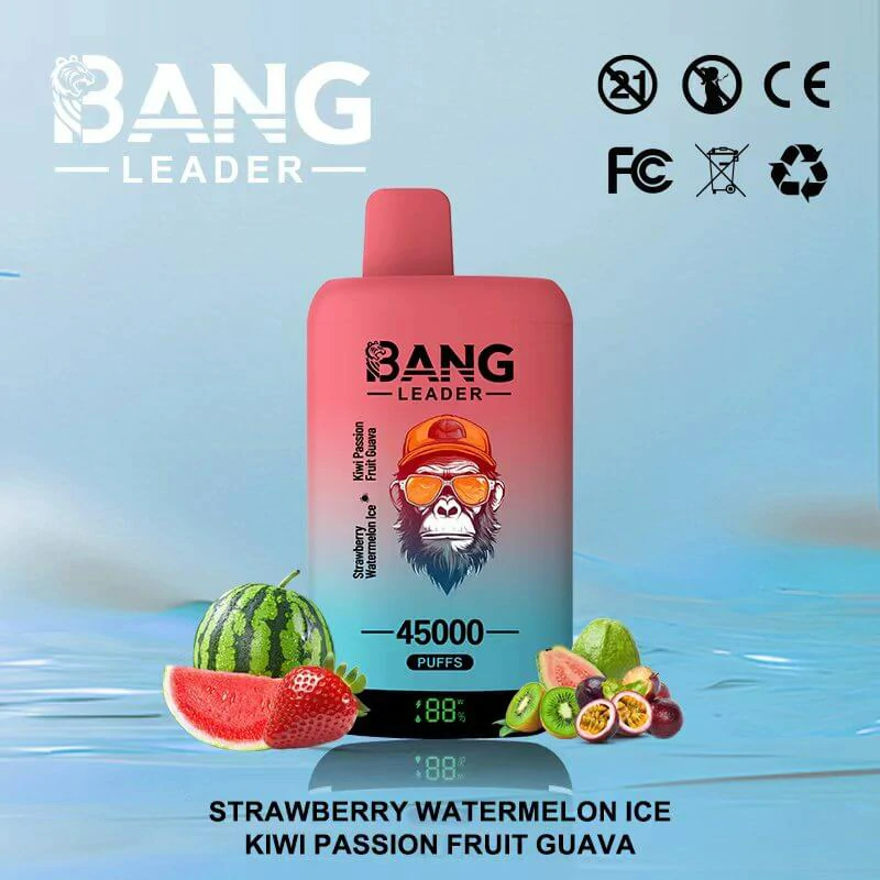 bang leader 45k - image 11