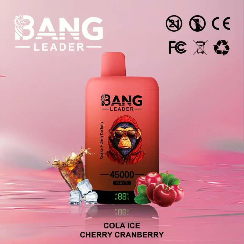 bang leader 45k - image 8