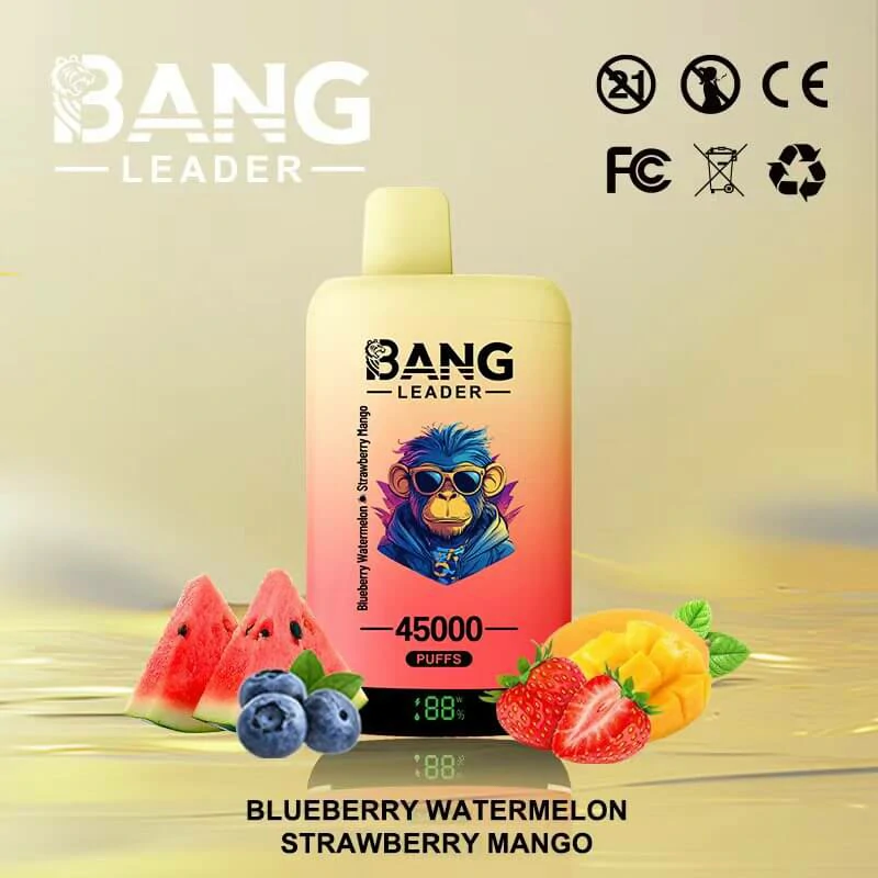 bang leader 45k - image 5
