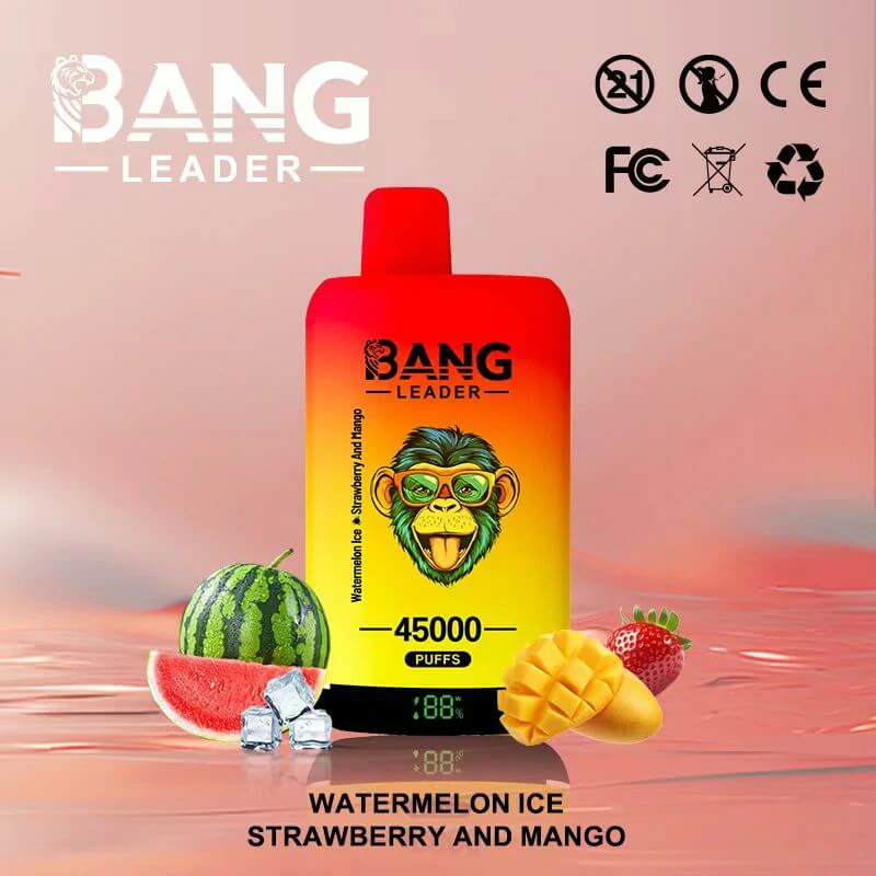 bang leader 45k - image 10