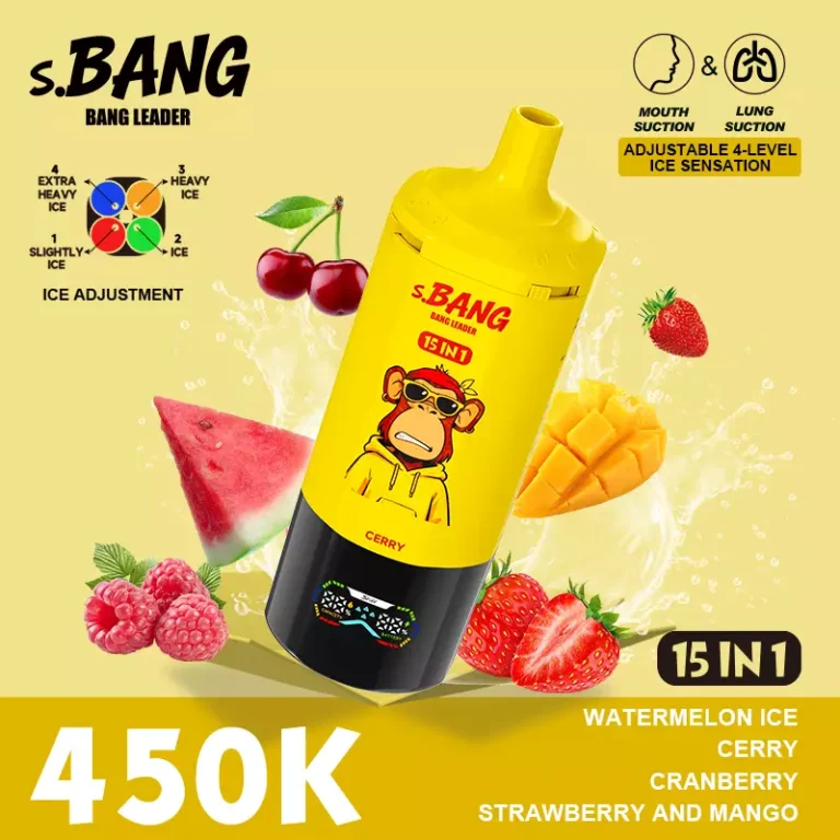 Bang Leader 15-in-1 450000 450K Boccate svapo monouso - image 13