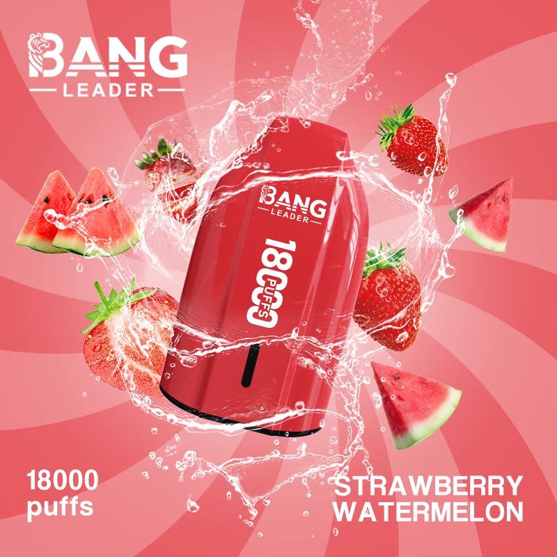 Bang Leader 18000 18K Boccate svapo monouso ricaricabile - image 11
