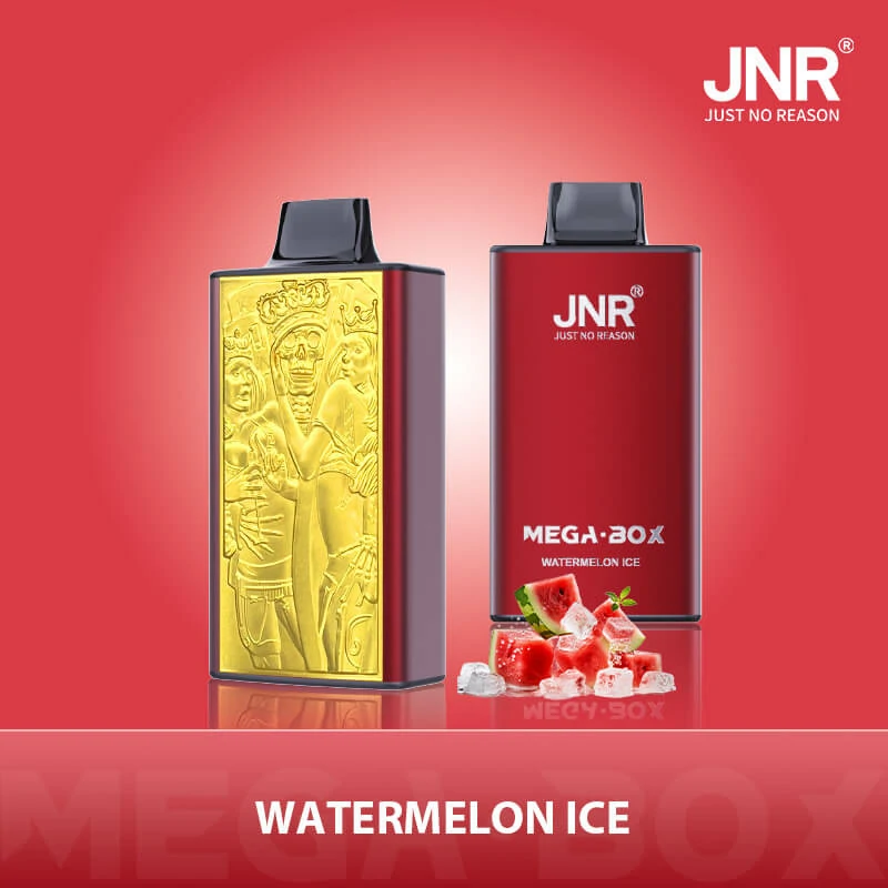 JNR MEGA BOX 25000 25K Boccate Dual Mesh Svapo monouso - image 5