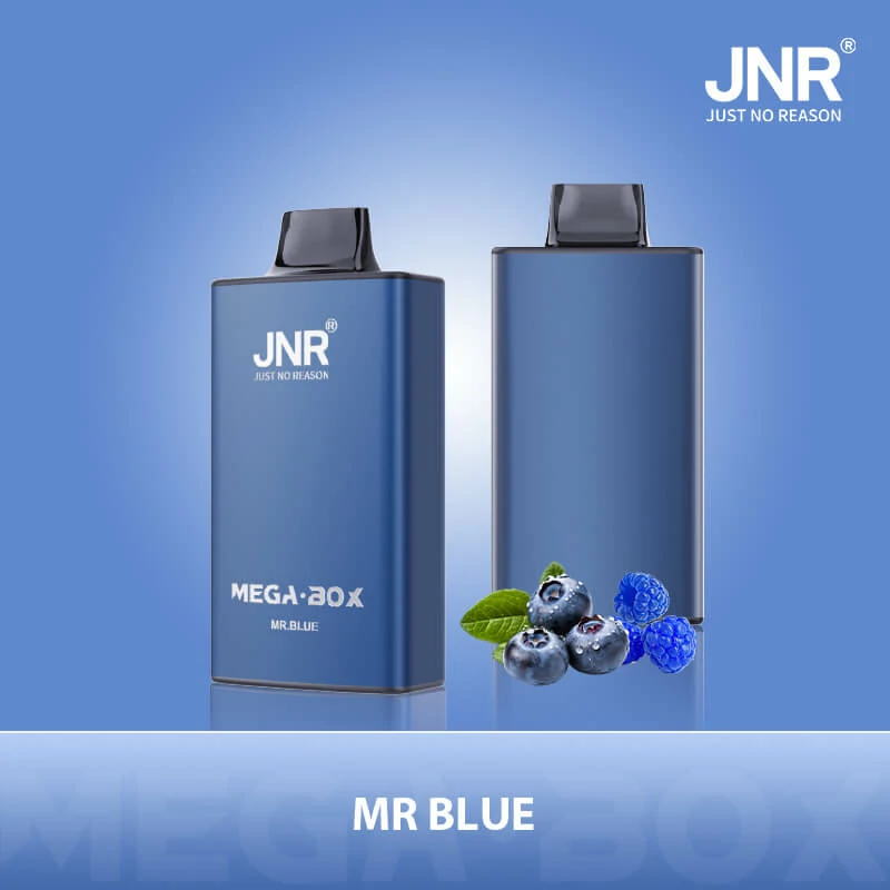 JNR MEGA BOX 25000 25K Boccate Dual Mesh Svapo monouso - image 9
