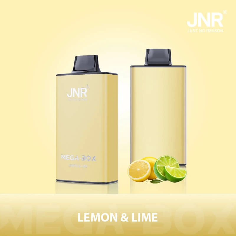JNR MEGA BOX 25000 25K Boccate Dual Mesh Svapo monouso - image 8