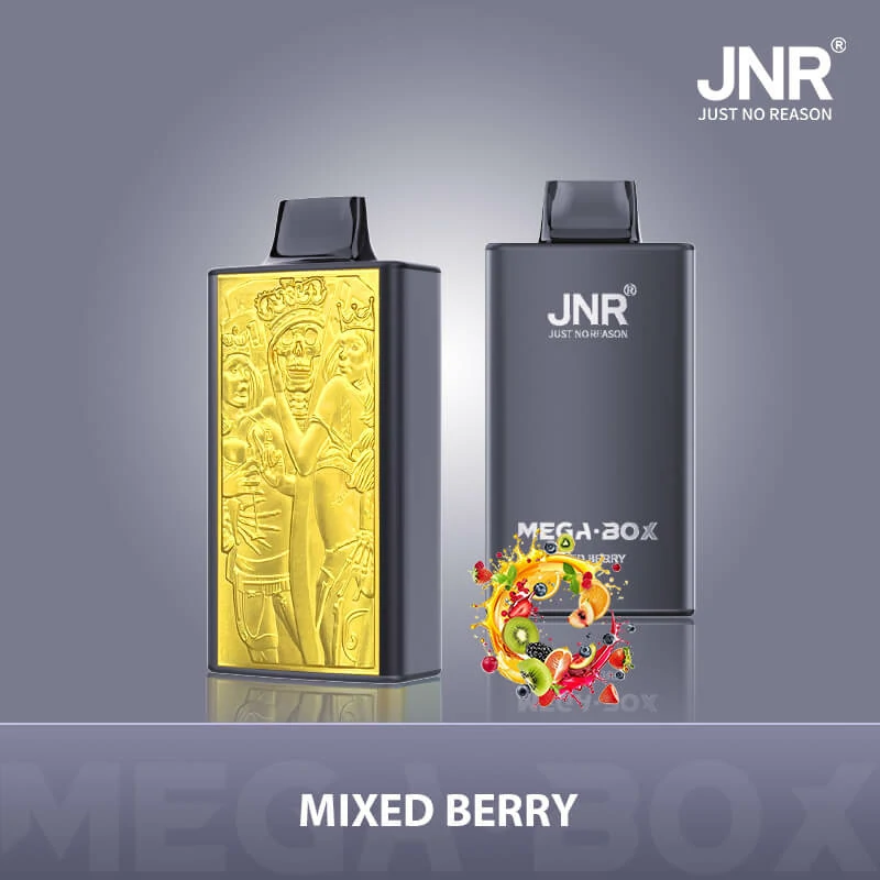 JNR MEGA BOX 25000 25K Boccate Dual Mesh Svapo monouso - image 11