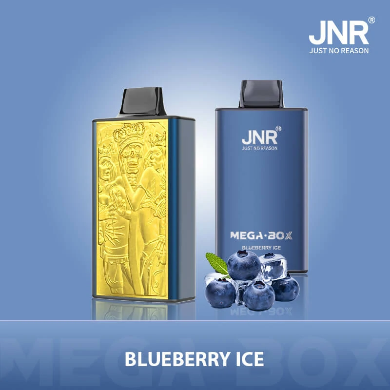 JNR MEGA BOX 25000 25K Boccate Dual Mesh Svapo monouso - image 12