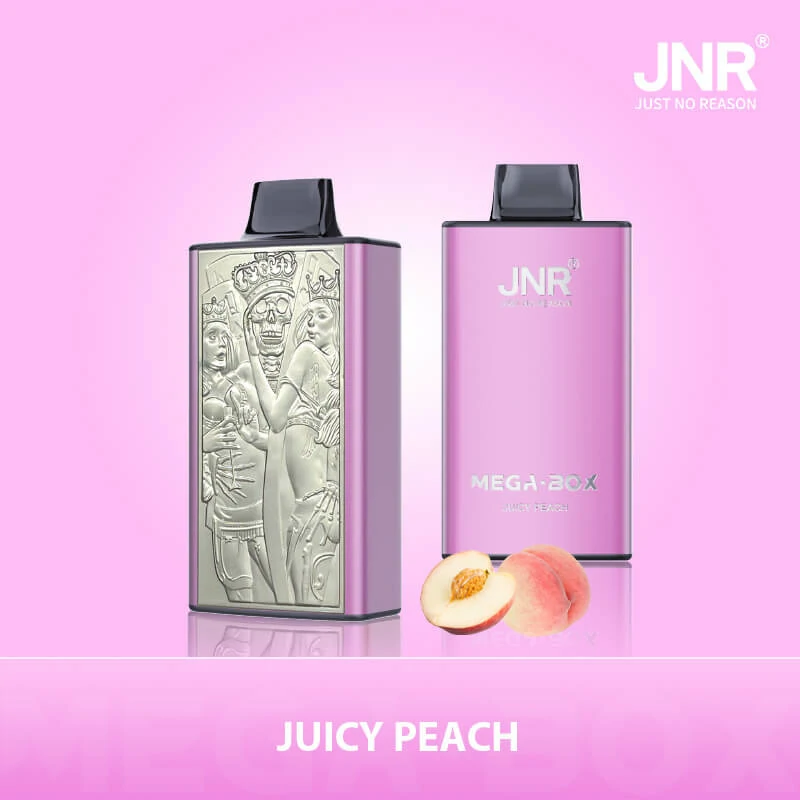 JNR MEGA BOX 25000 25K Boccate Dual Mesh Svapo monouso - image 4