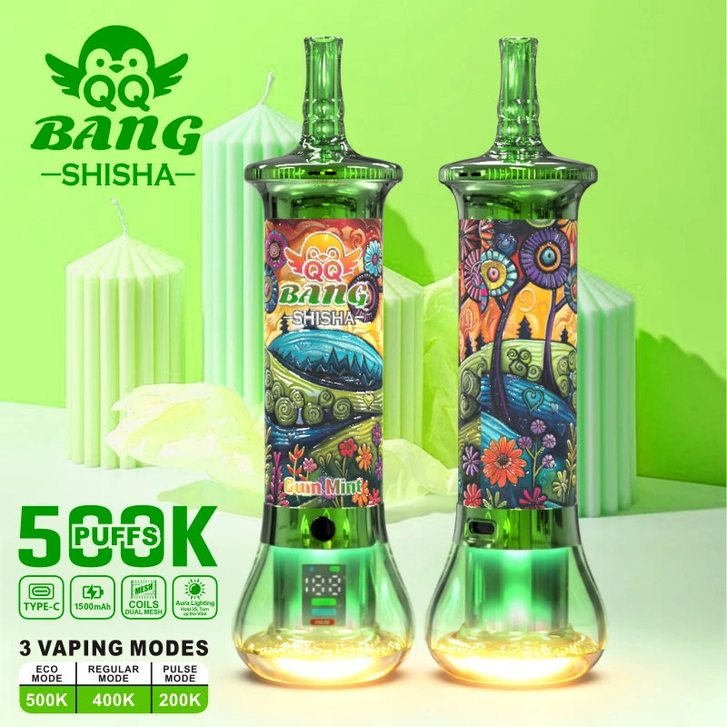 Bang Shisha 500000 500K Boccate Mesh Coil Svapo monouso - image 7