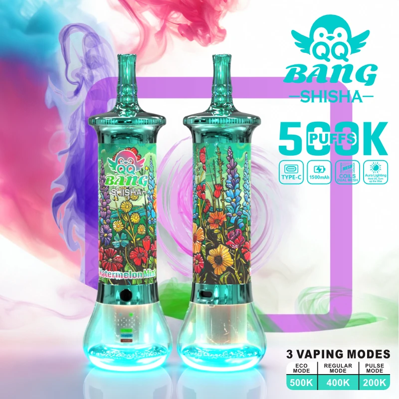 Bang Shisha 500000 500K Boccate Mesh Coil Svapo monouso - image 9